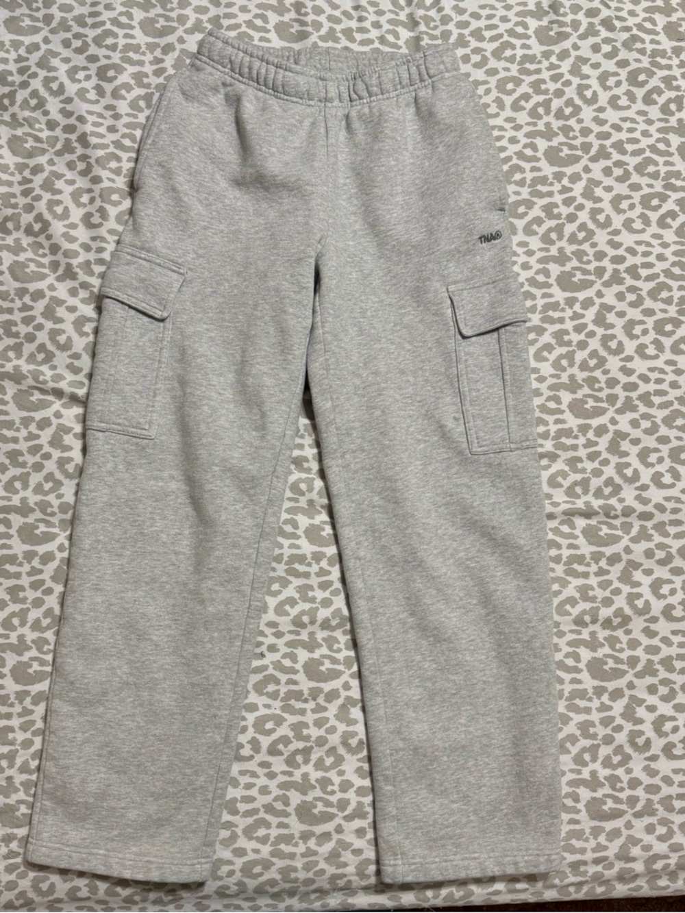Aritzia Cargo pants
